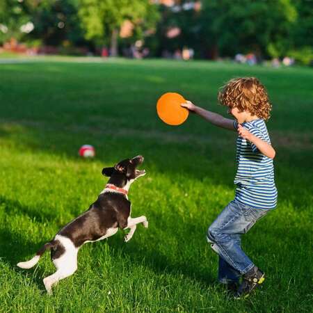 Frisbee Dysk Latający Do Łapania Zabawka Do Aportowania Talerz Spodek Szary 18 Cm